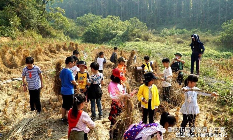 亲子研学游